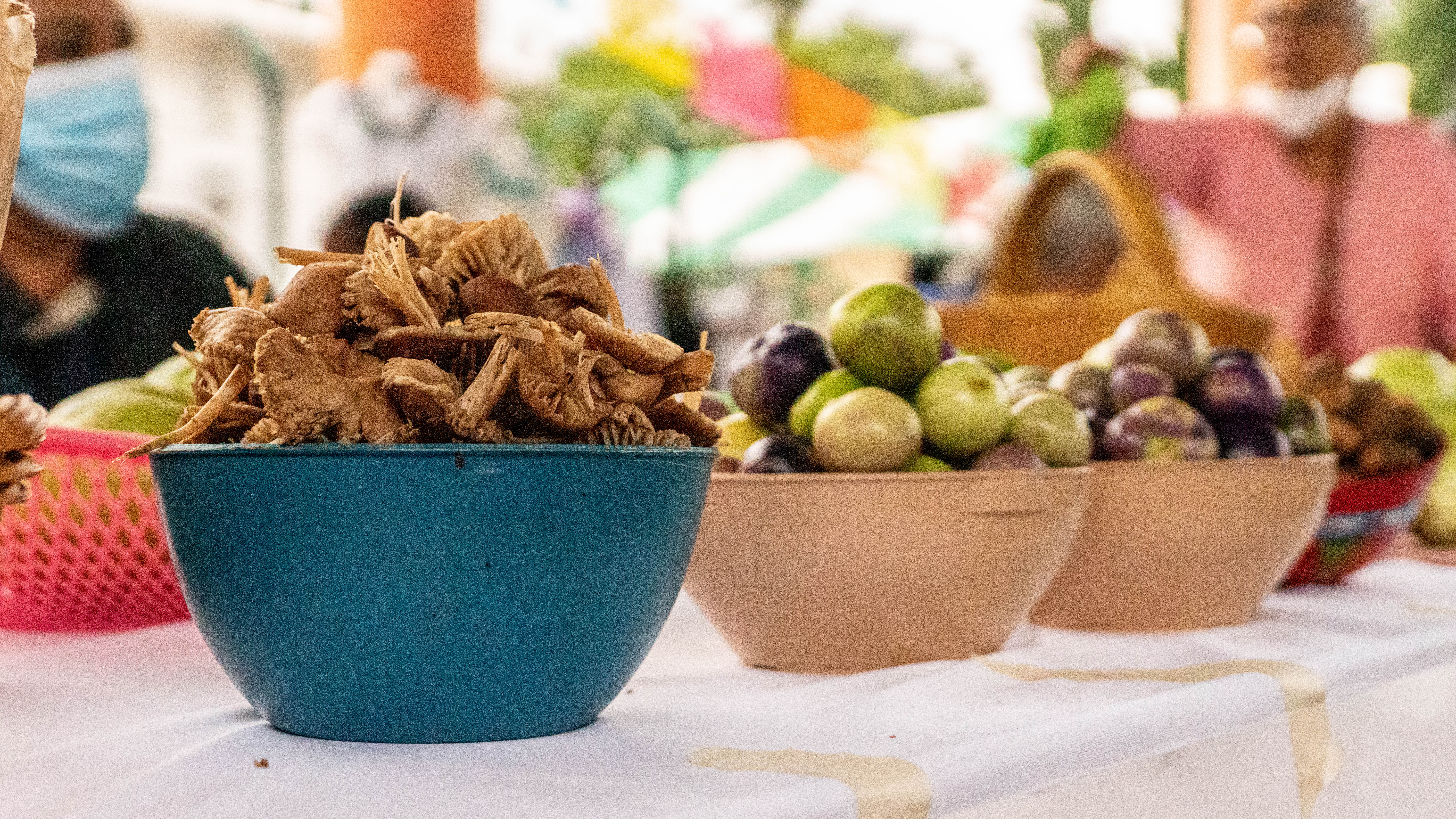 A TRAVÉS DE UNA FERIA AGROECOLÓGICA PROMOVEMOS EL CONSUMO DE PRODUCTOS ...